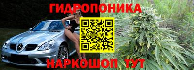 мдпв Аргун