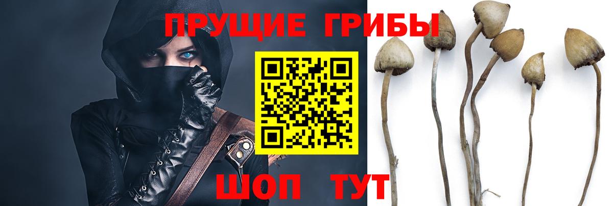 Псилоцибиновые грибы ЛСД  Вход с VPN  Верхняя Пышма 